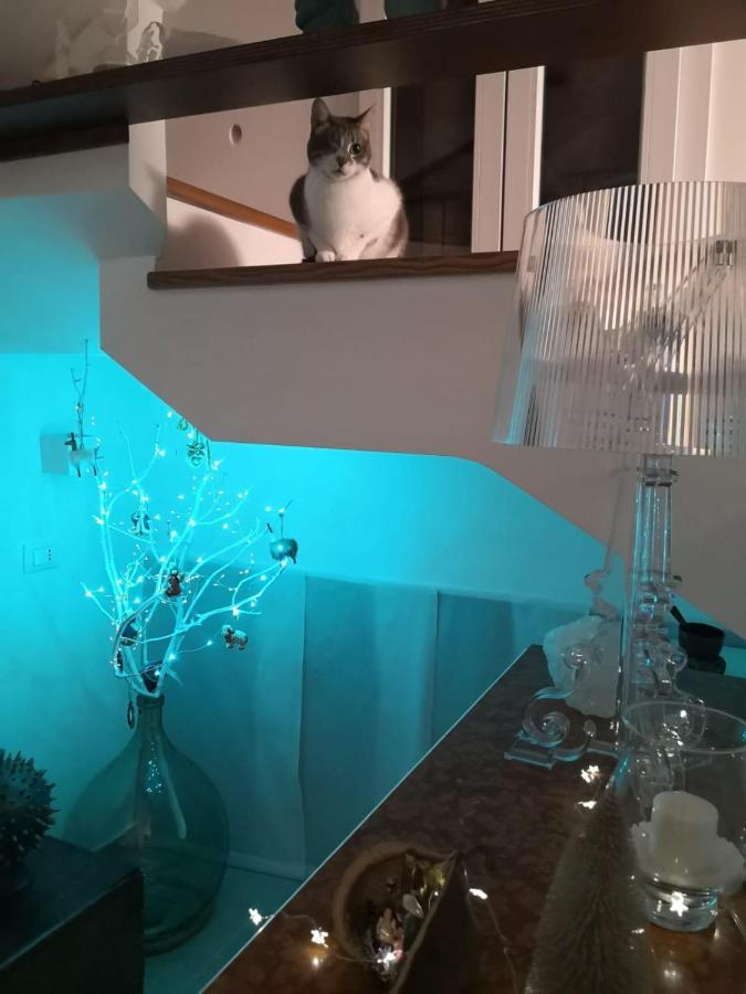 Terrazza Alla Cala 팔레르모 외부 사진