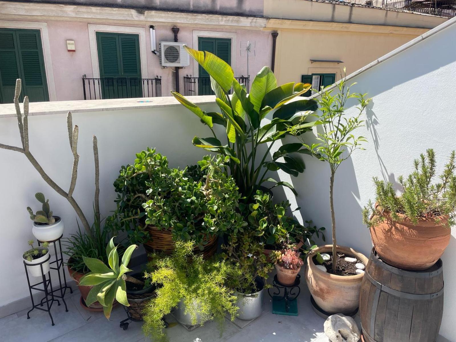 Terrazza Alla Cala 팔레르모 외부 사진